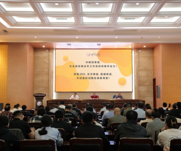 437ccm必赢国际丝绸2024年三季度经济形势剖析会顺遂召开